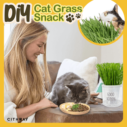 Cithway™ Easy-Grow Cat Grass Snack